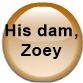 His dam, Zoey
