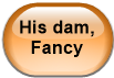 His dam, Fancy