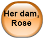 Her dam, Rose