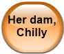 Her dam, Chilly