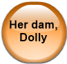 Her dam, Dolly