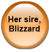 Her sire, Blizzard