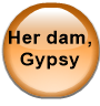 Her dam, Gypsy