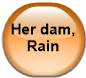 Her dam, Rain