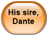 His sire, Dante
