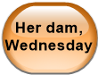 Her dam, Wednesday