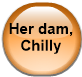 Her dam, Chilly