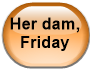 Her dam, Friday
