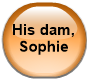 His dam, Sophie