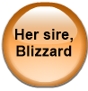 Her sire, Blizzard