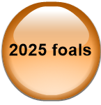 2025 foals