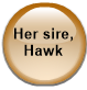 Her sire, Hawk