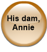 His dam, Annie