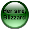 Her sire, Blizzard