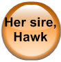 Her sire, Hawk