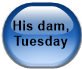 His dam, Tuesday