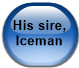 His sire, Iceman