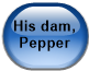 His dam, Pepper
