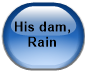 His dam, Rain