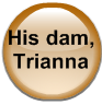 His dam, Trianna