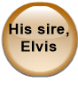 His sire, Elvis