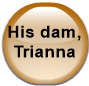His dam, Trianna