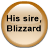 His sire, Blizzard