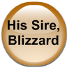His Sire, Blizzard