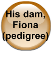 His dam, Fiona (pedigree)