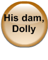 His dam, Dolly